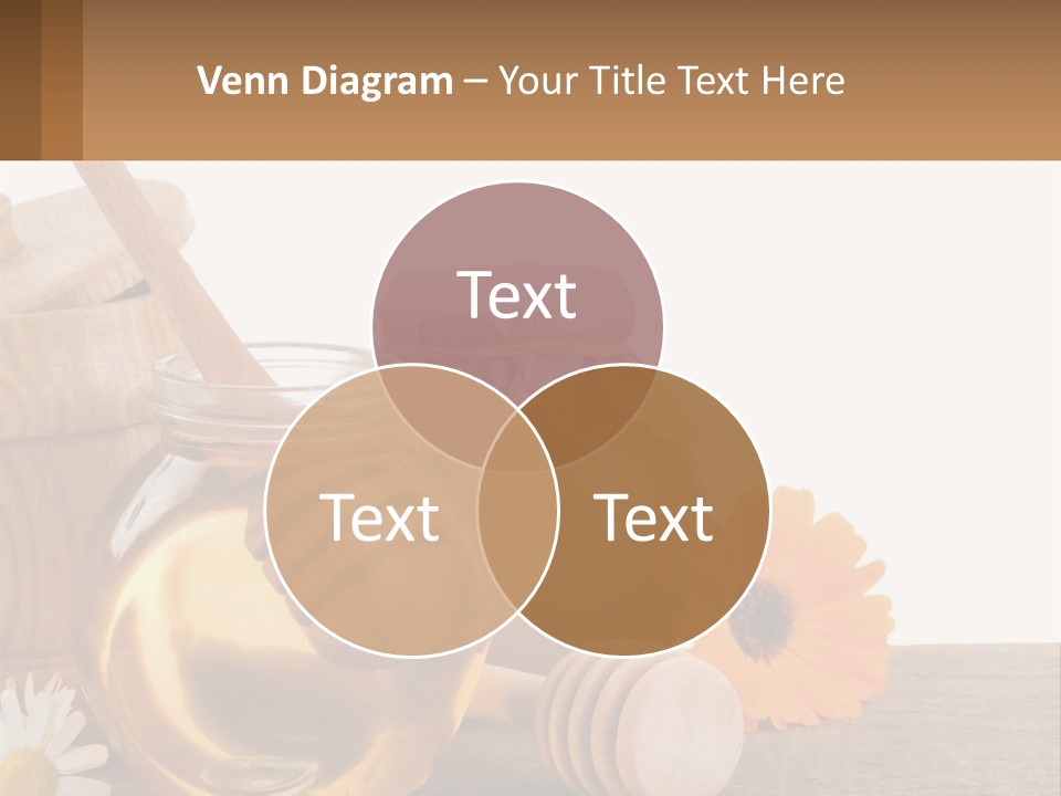 Food Space Camomile PowerPoint Template