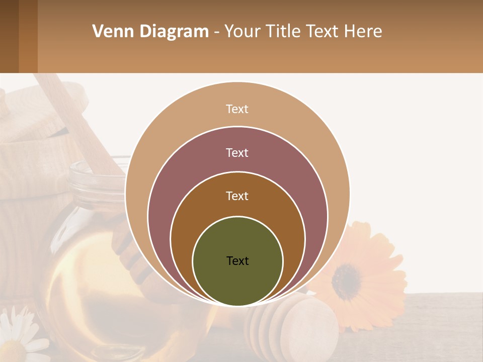Food Space Camomile PowerPoint Template