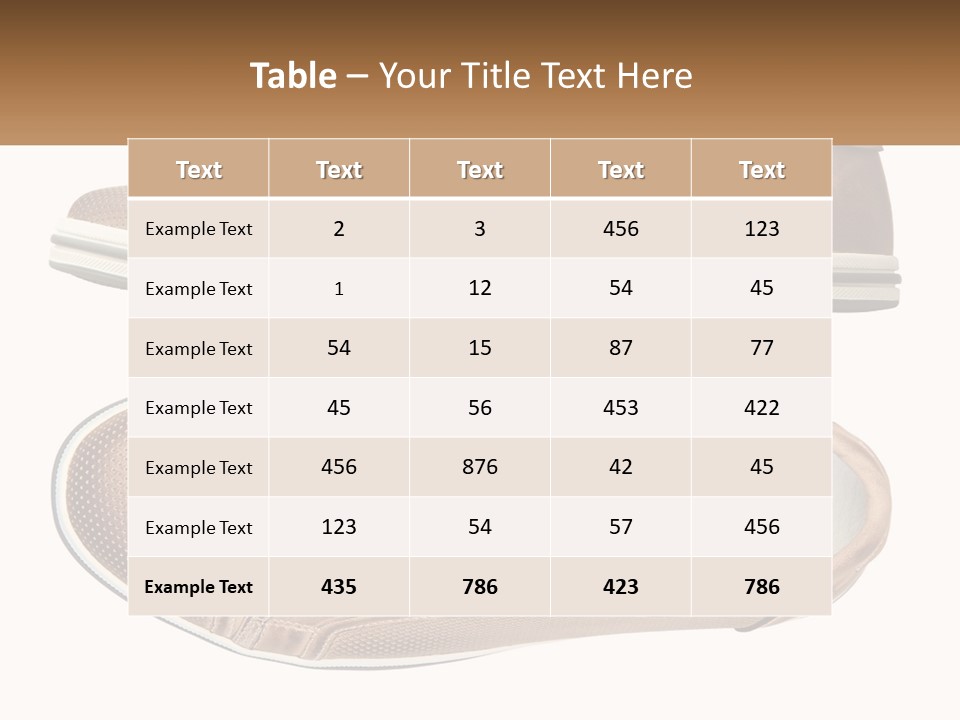 Fashion Leather Accessories PowerPoint Template