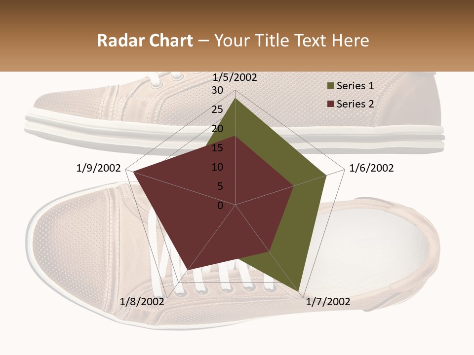 Fashion Leather Accessories PowerPoint Template