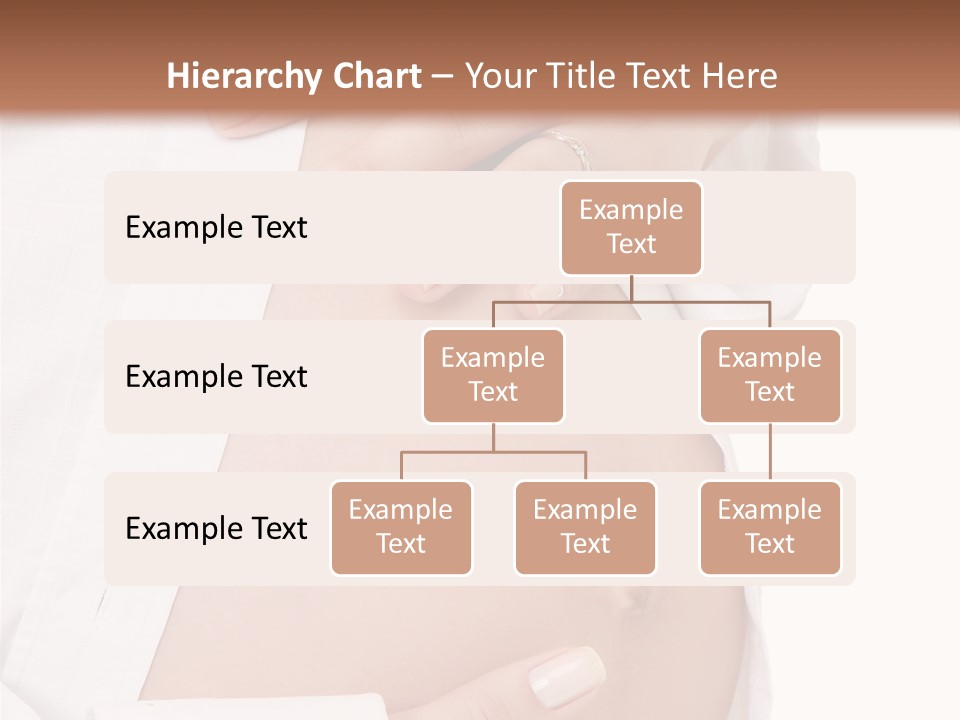 Navel Parent Feminine PowerPoint Template
