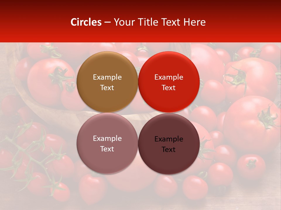 Olive Wood Wood Olive Tree PowerPoint Template