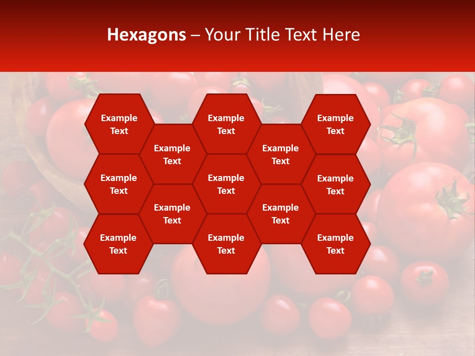 Olive Wood Wood Olive Tree PowerPoint Template