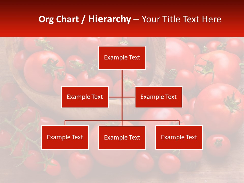 Olive Wood Wood Olive Tree PowerPoint Template
