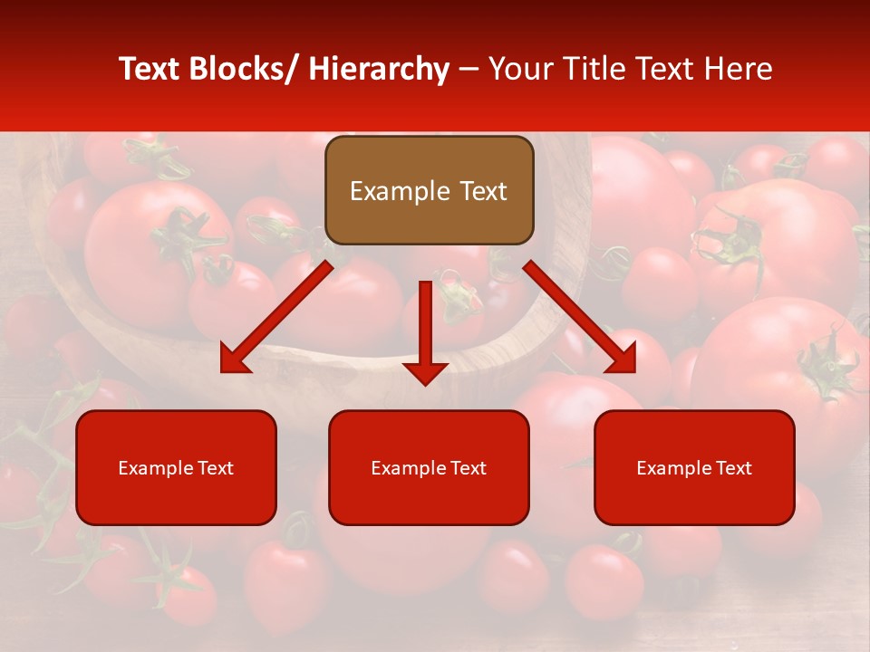Olive Wood Wood Olive Tree PowerPoint Template