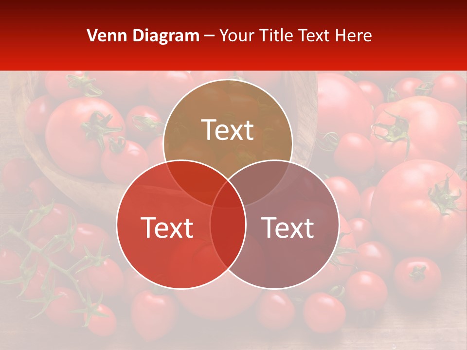 Olive Wood Wood Olive Tree PowerPoint Template