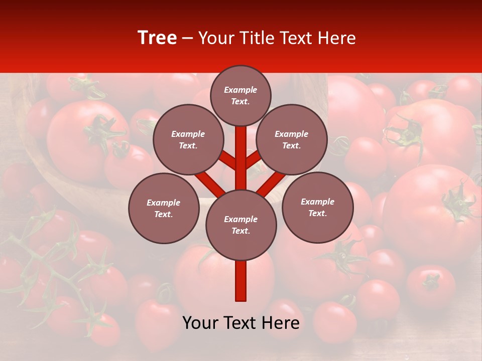 Olive Wood Wood Olive Tree PowerPoint Template