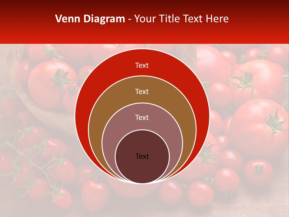 Olive Wood Wood Olive Tree PowerPoint Template