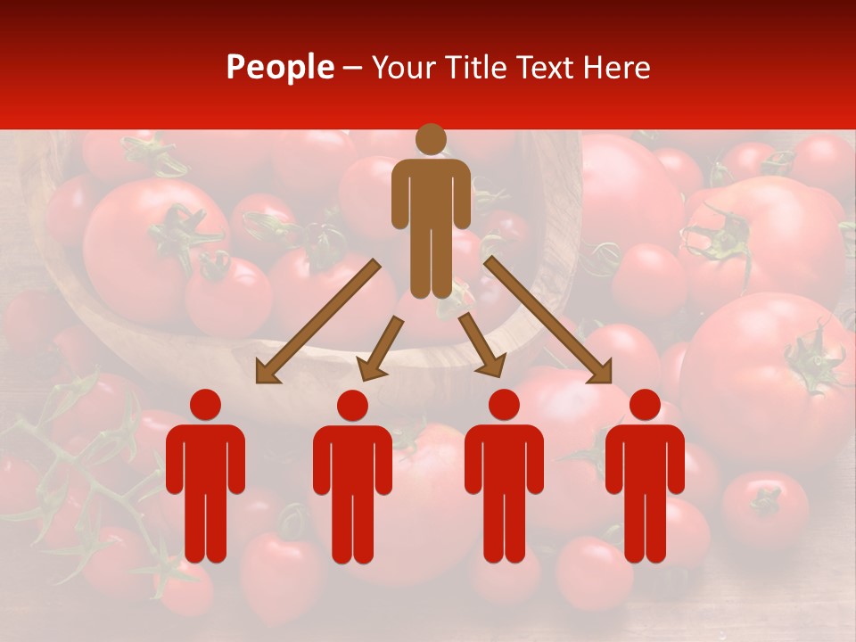 Olive Wood Wood Olive Tree PowerPoint Template