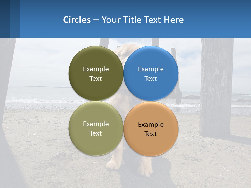 Animal Cute Puppy PowerPoint Template