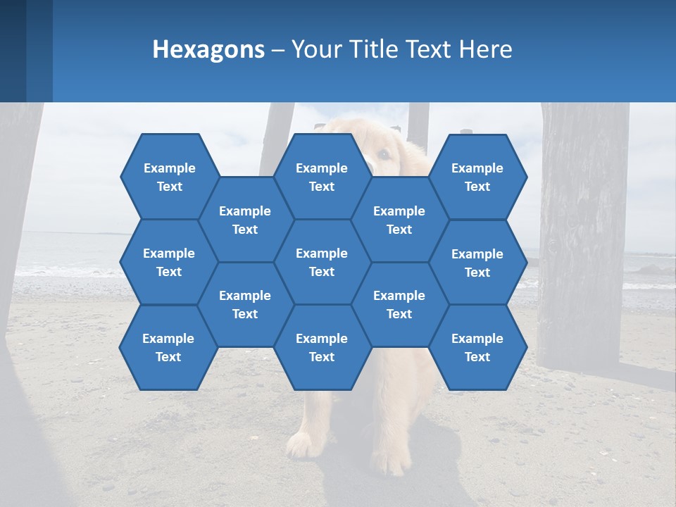 Animal Cute Puppy PowerPoint Template