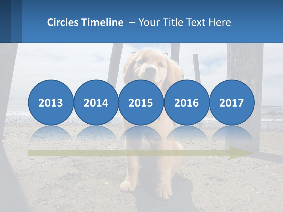 Animal Cute Puppy PowerPoint Template