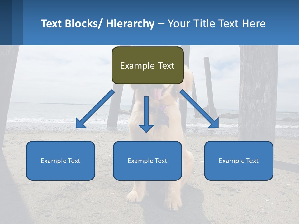 Animal Cute Puppy PowerPoint Template