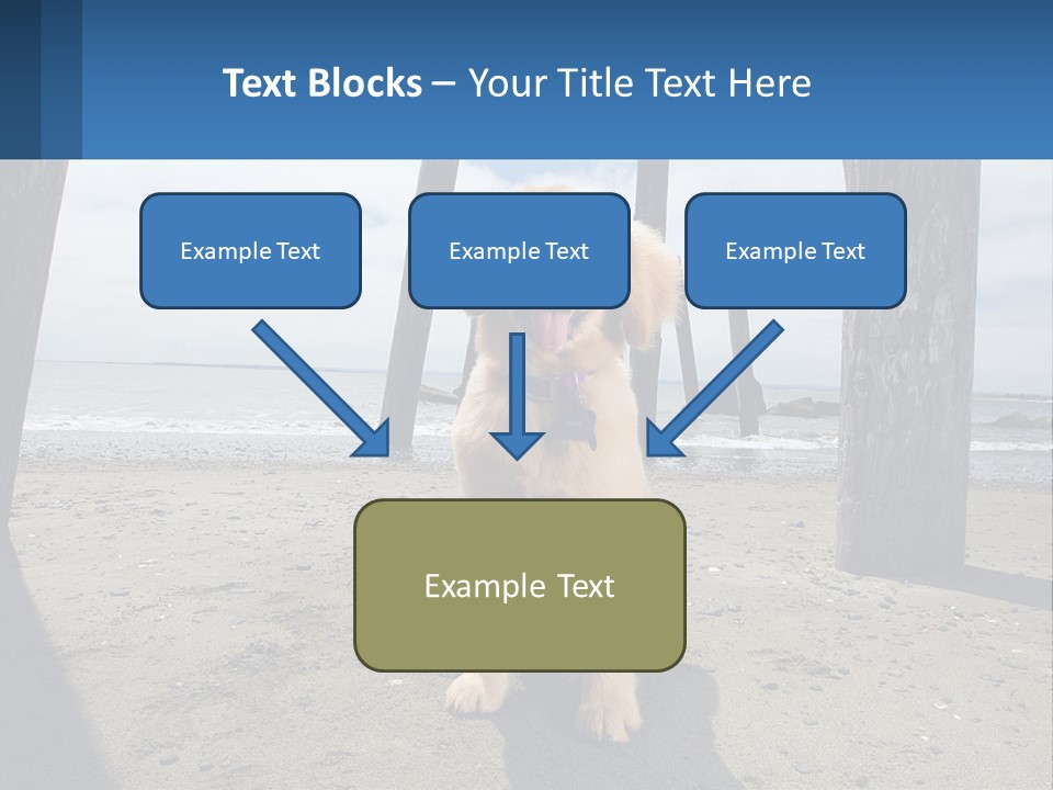 Animal Cute Puppy PowerPoint Template