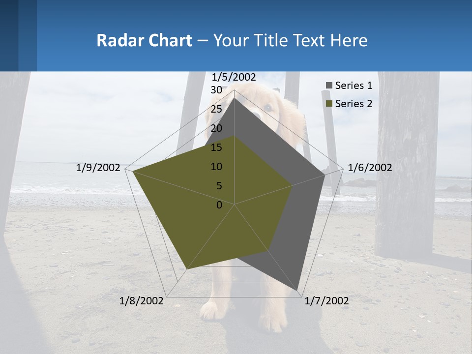 Animal Cute Puppy PowerPoint Template