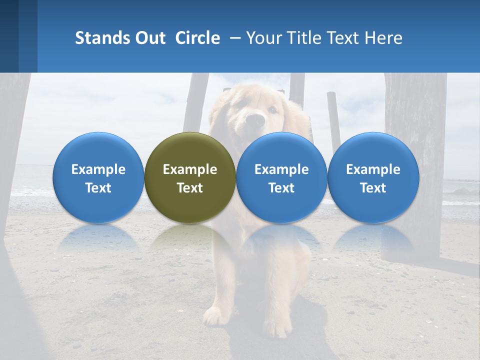 Animal Cute Puppy PowerPoint Template
