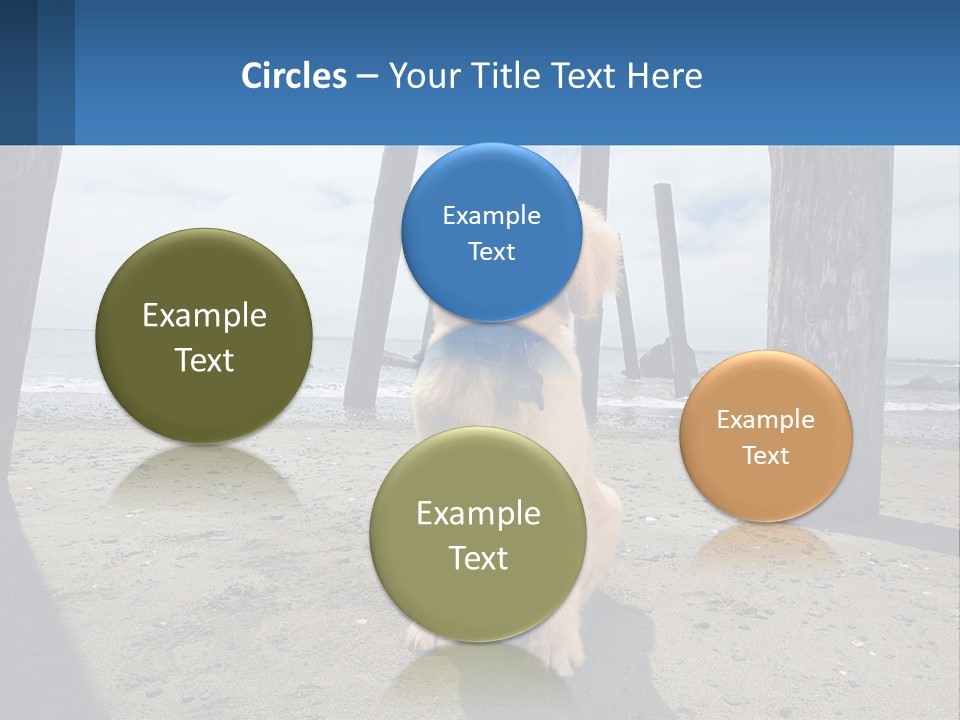 Animal Cute Puppy PowerPoint Template