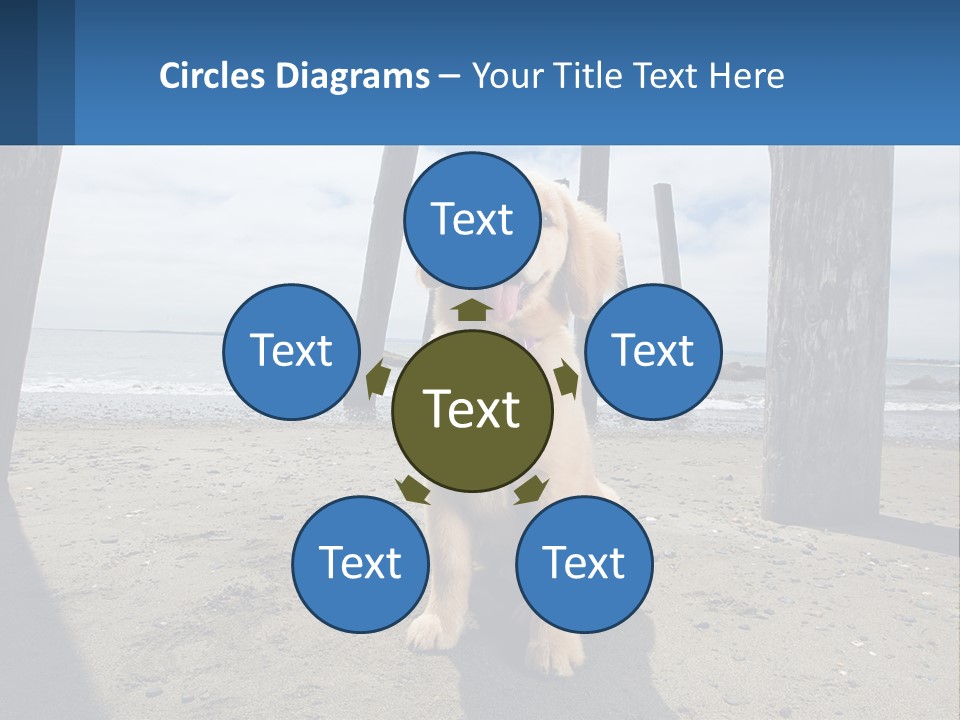 Animal Cute Puppy PowerPoint Template