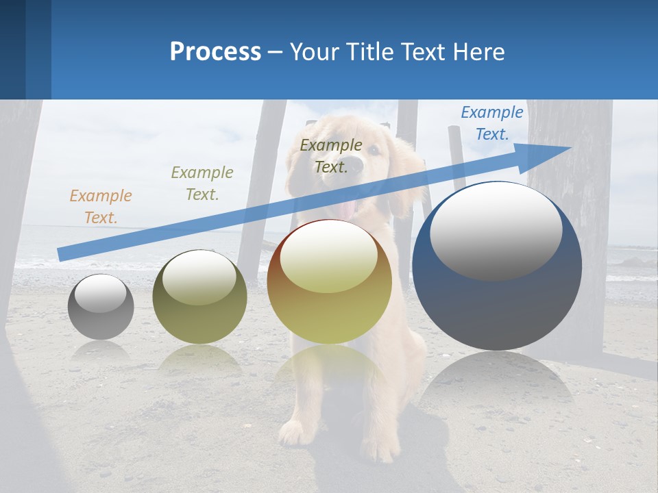 Animal Cute Puppy PowerPoint Template