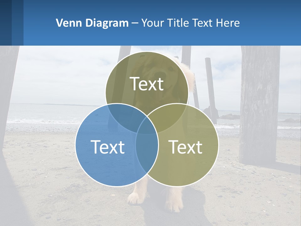 Animal Cute Puppy PowerPoint Template