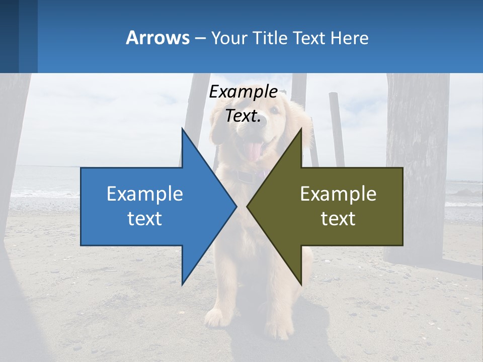 Animal Cute Puppy PowerPoint Template