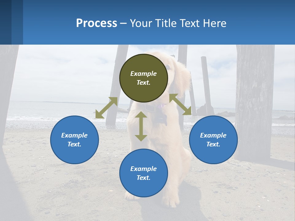 Animal Cute Puppy PowerPoint Template