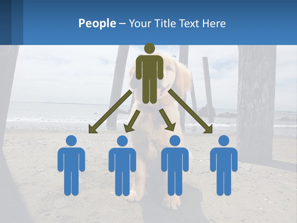 Animal Cute Puppy PowerPoint Template