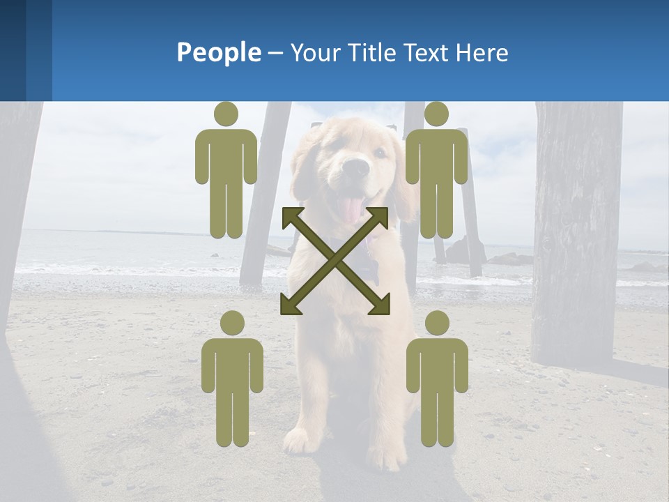 Animal Cute Puppy PowerPoint Template