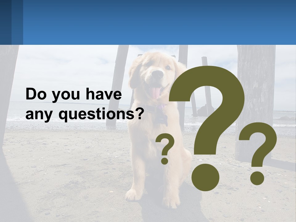 Animal Cute Puppy PowerPoint Template