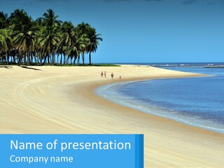 Gunga Holiday Coconut PowerPoint Template