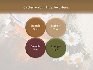 Leaf Warm Organic PowerPoint Template