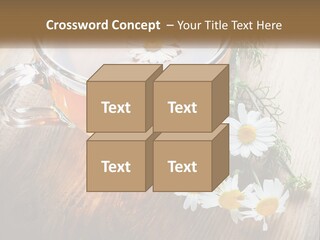Leaf Warm Organic PowerPoint Template