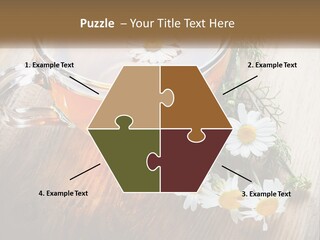 Leaf Warm Organic PowerPoint Template