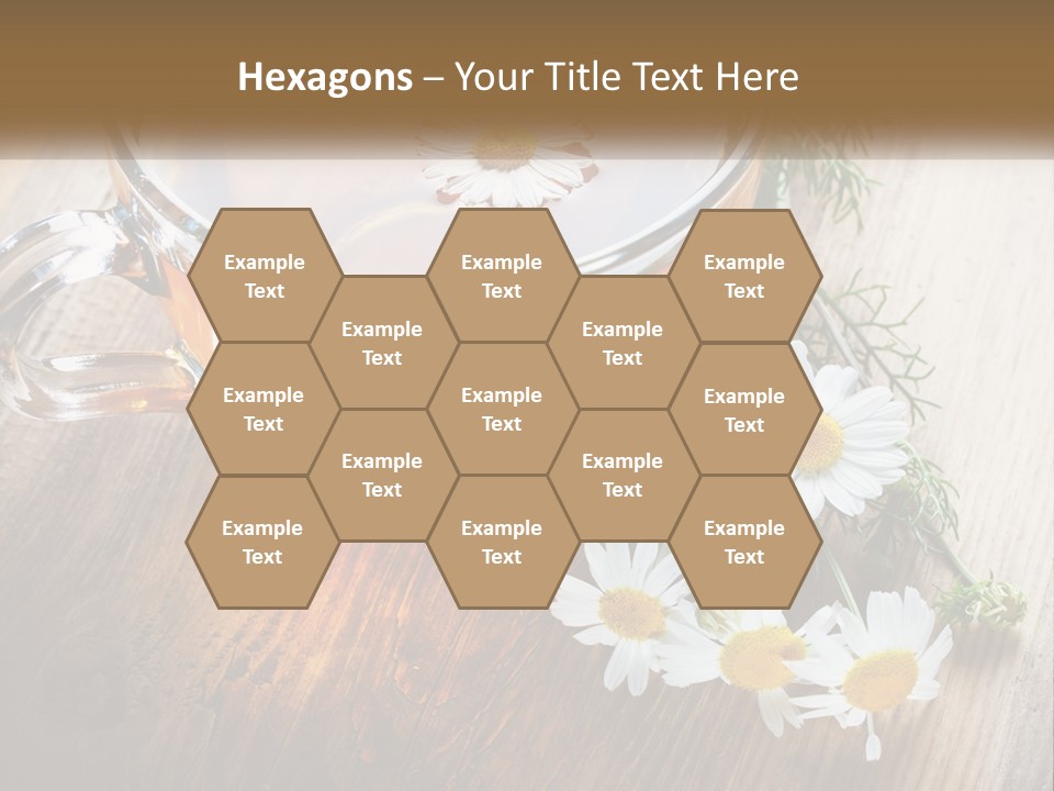 Leaf Warm Organic PowerPoint Template