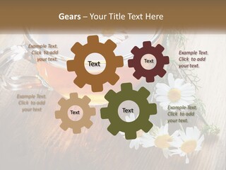 Leaf Warm Organic PowerPoint Template