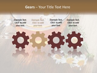 Leaf Warm Organic PowerPoint Template
