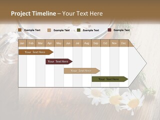 Leaf Warm Organic PowerPoint Template
