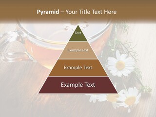 Leaf Warm Organic PowerPoint Template