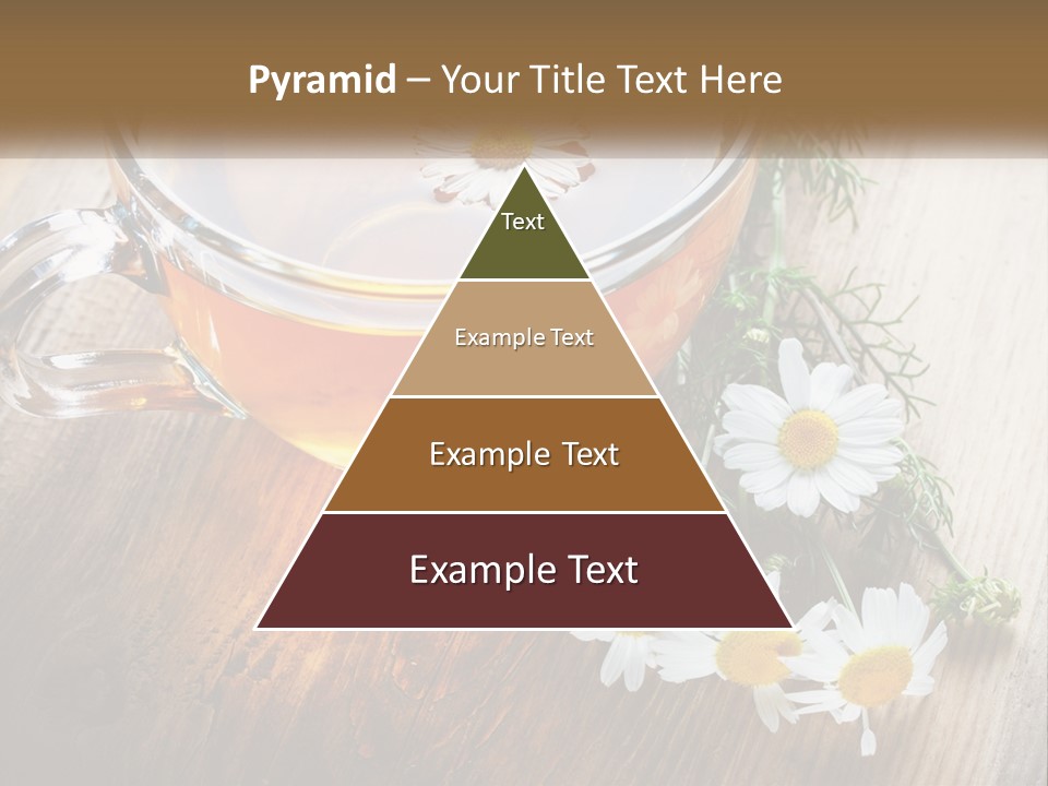 Leaf Warm Organic PowerPoint Template