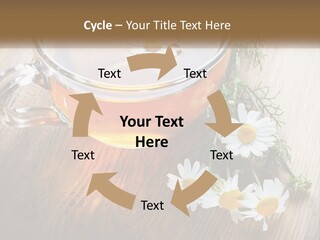 Leaf Warm Organic PowerPoint Template