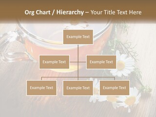 Leaf Warm Organic PowerPoint Template
