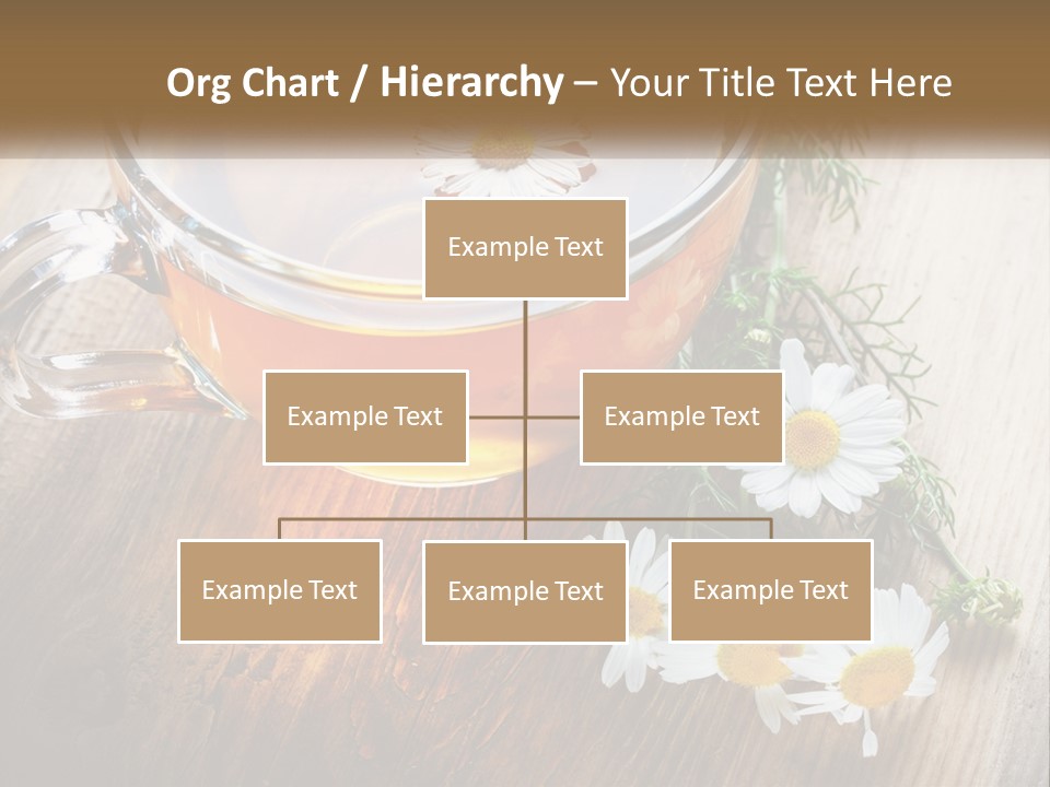 Leaf Warm Organic PowerPoint Template