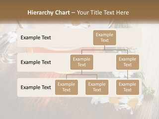 Leaf Warm Organic PowerPoint Template
