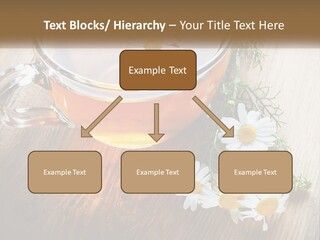 Leaf Warm Organic PowerPoint Template