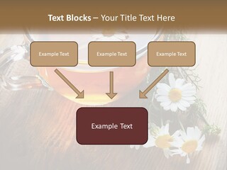 Leaf Warm Organic PowerPoint Template