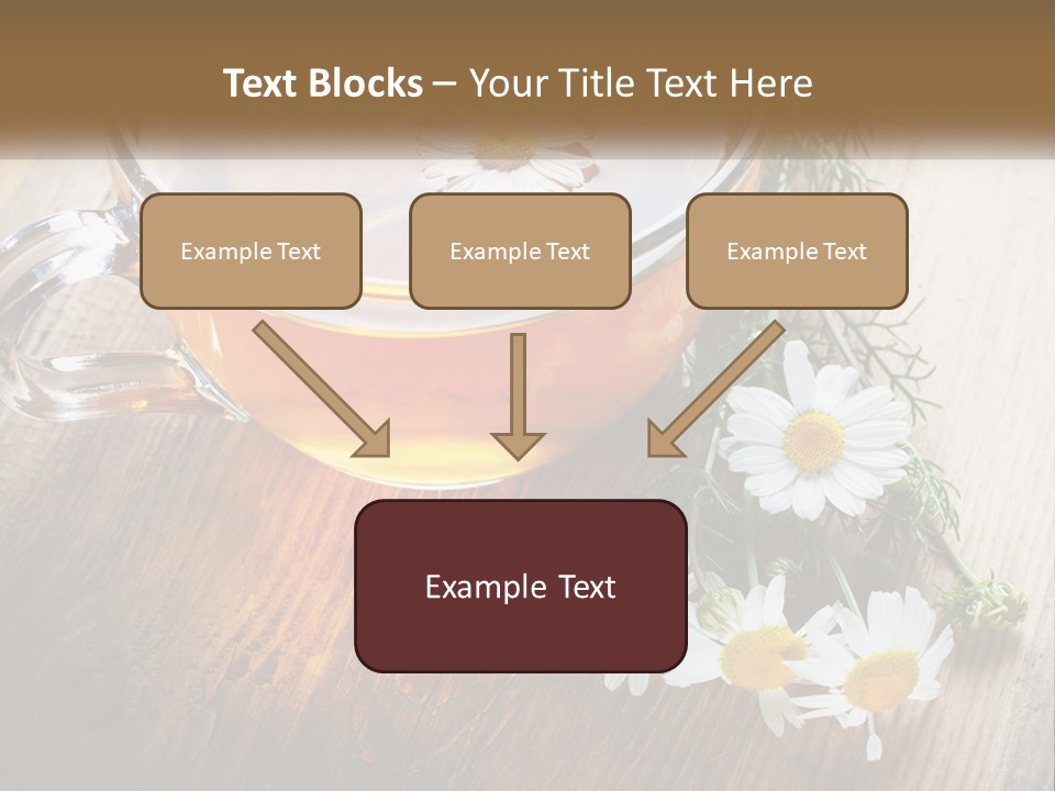 Leaf Warm Organic PowerPoint Template