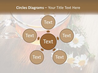 Leaf Warm Organic PowerPoint Template