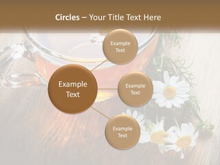 Leaf Warm Organic PowerPoint Template