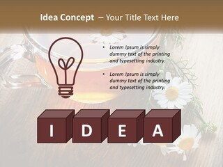 Leaf Warm Organic PowerPoint Template