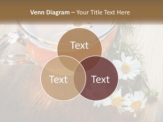 Leaf Warm Organic PowerPoint Template